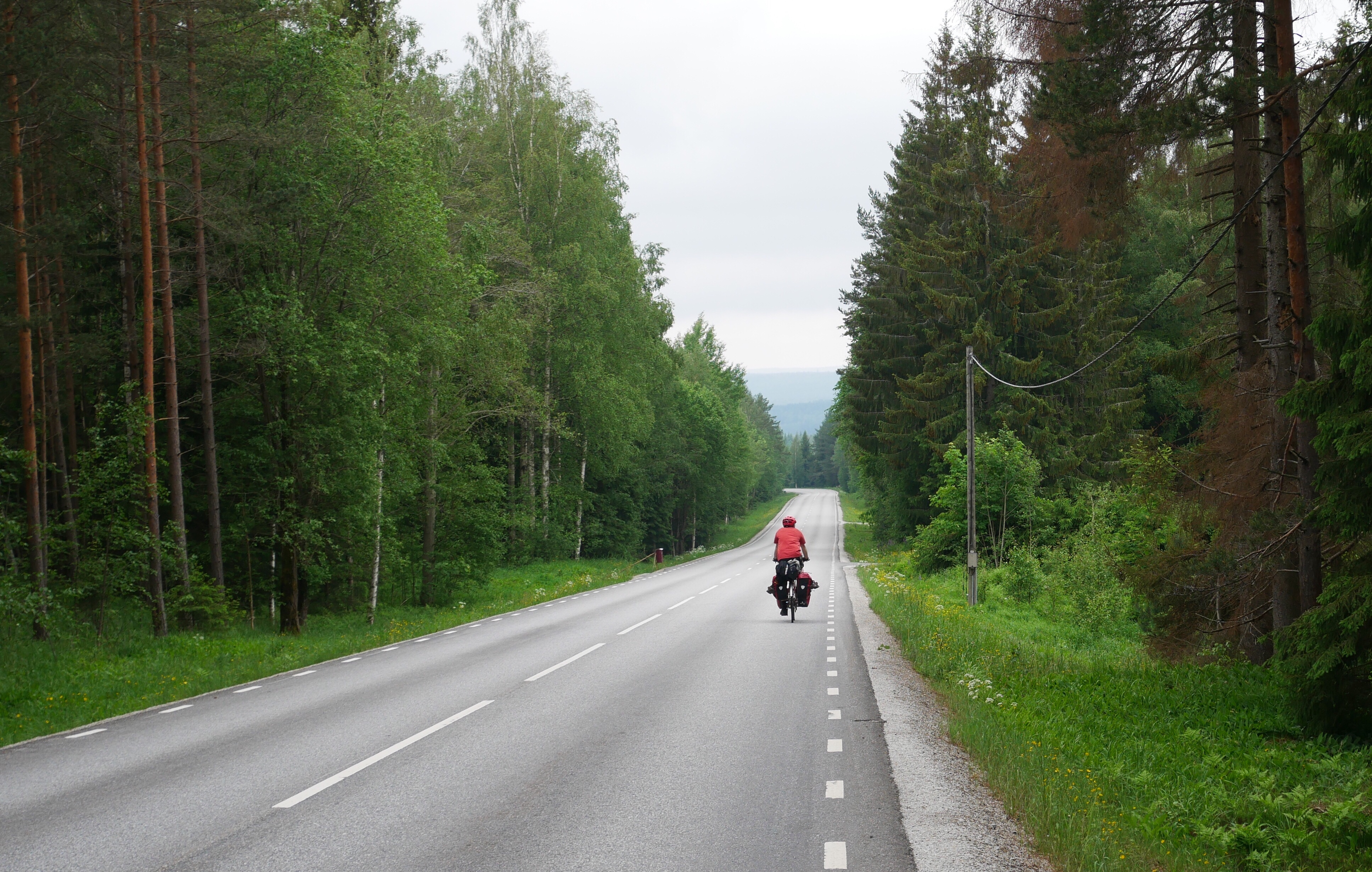 Foto: Petter Helgesson 